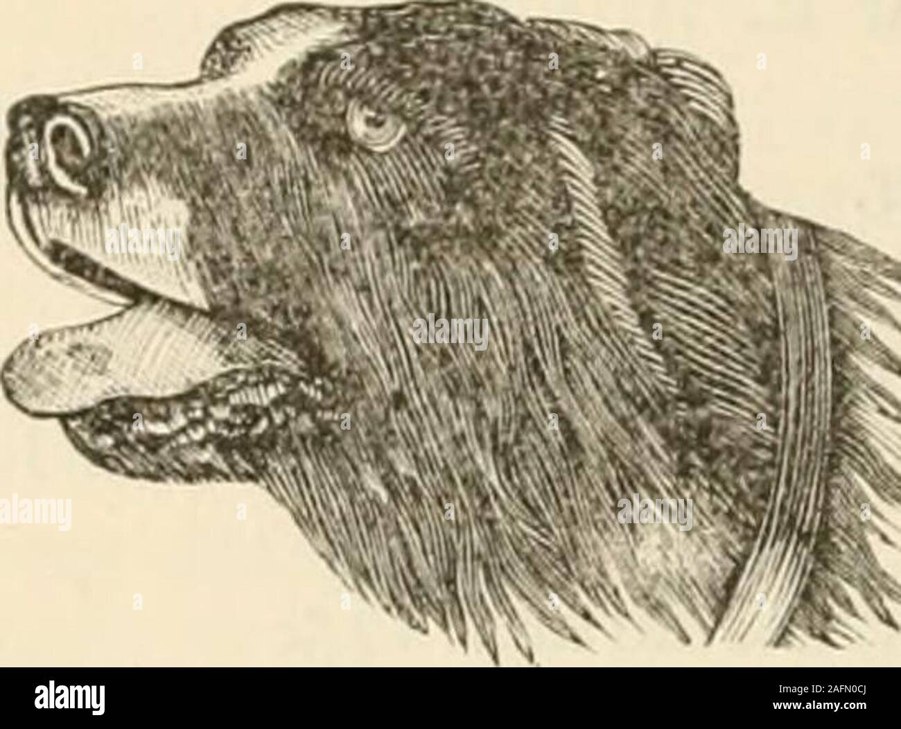 . Gazetteer and business directory of Rutland county, Vt., for 188182