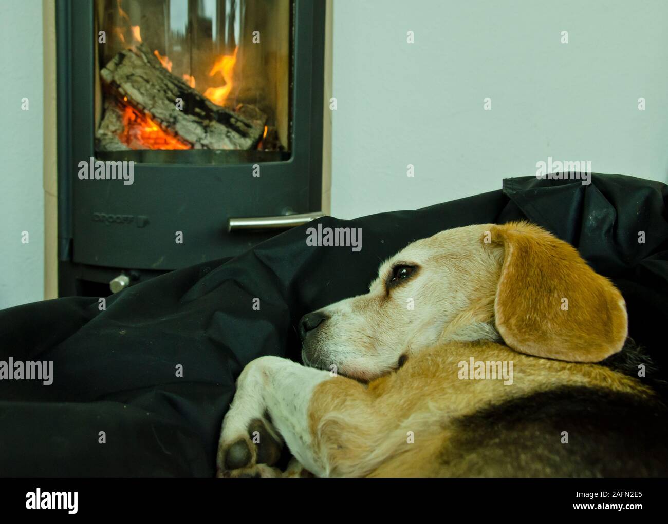 Wood Stove Pet High Resolution Stock Photography And Images Alamy