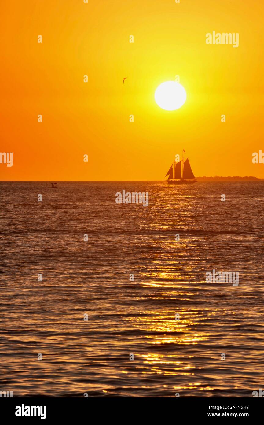 Sailboat out on calm waters for sunset cruise off Mallory Square in popular and famous tourist vacation spot in tropical Key West, Florida, USA Stock Photo