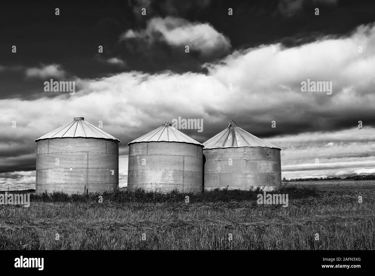 A Black and white of several grain bins Saskatchewan, Canada Stock