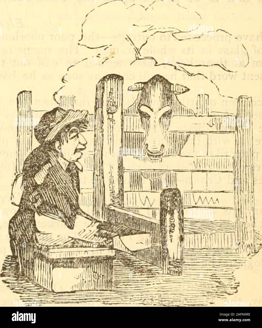 bookidchoiceworkso high resolution stock photography and images alamy