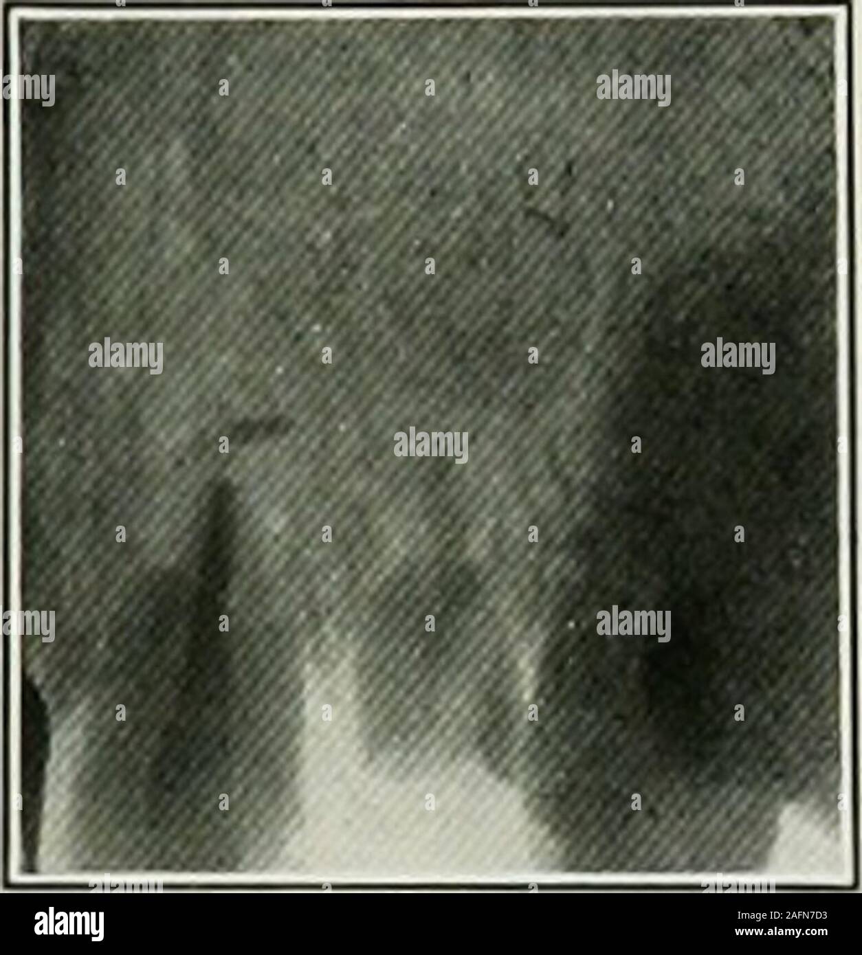 Horizontalposition hires stock photography and images Alamy