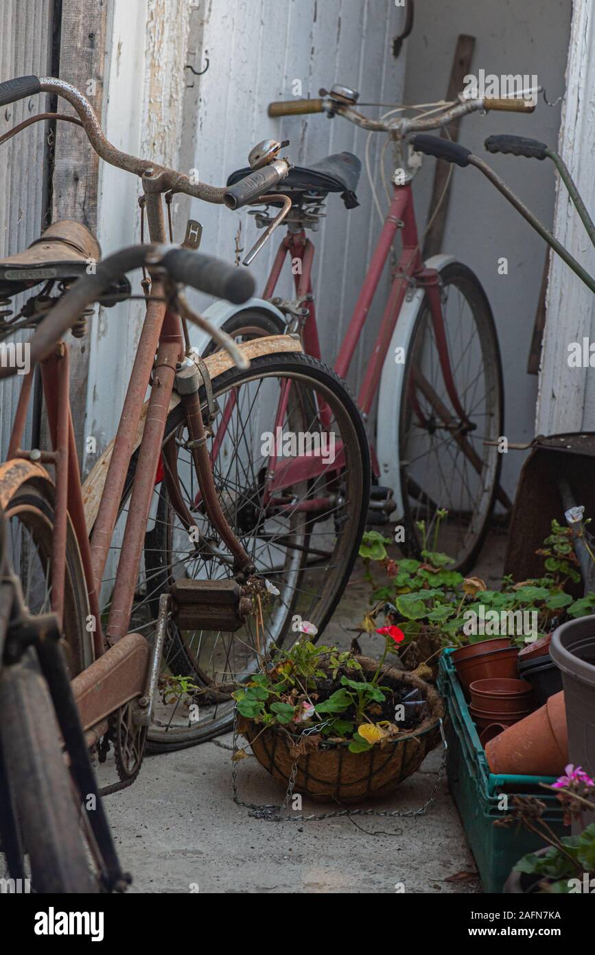 colorful vintage bicycles parked in a tiny rear garden by the wall Stock Photo
