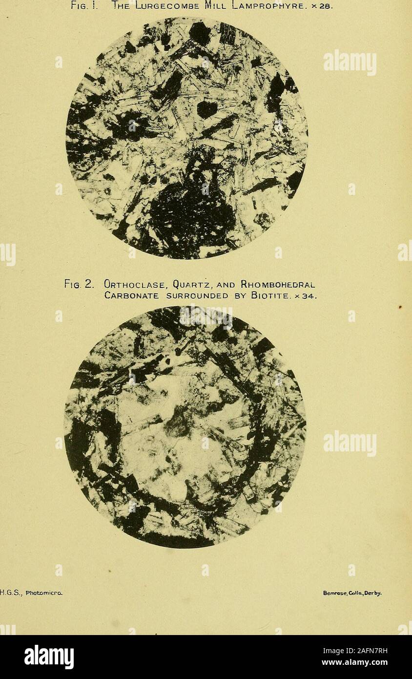 . The Quarterly journal of the Geological Society of London. ns at more than onestage of the investigation. EXPLANATION OF PLATES VIII & IX.Plate VIII. Fig. 1. The Lurgecombe Mill lamprophyre. X 2S diameters. (See p. 77.)2. Orthoclase, quartz, and rhombohedral carbonate surrounded by biotite.X 34 diameters. (See p. 78.) Plate IX. Fig. 1. Inclusion in the Lurgecombe Mill lamprophyre. X 25 diameters.(See p. 80.) 2. Tubular connexions between staurolite and biotite. X 80 diameters.(See p. 81.) Discussion. The President (Dr. A. Harker) complimented the Author onhis paper, and commented upon the va Stock Photo