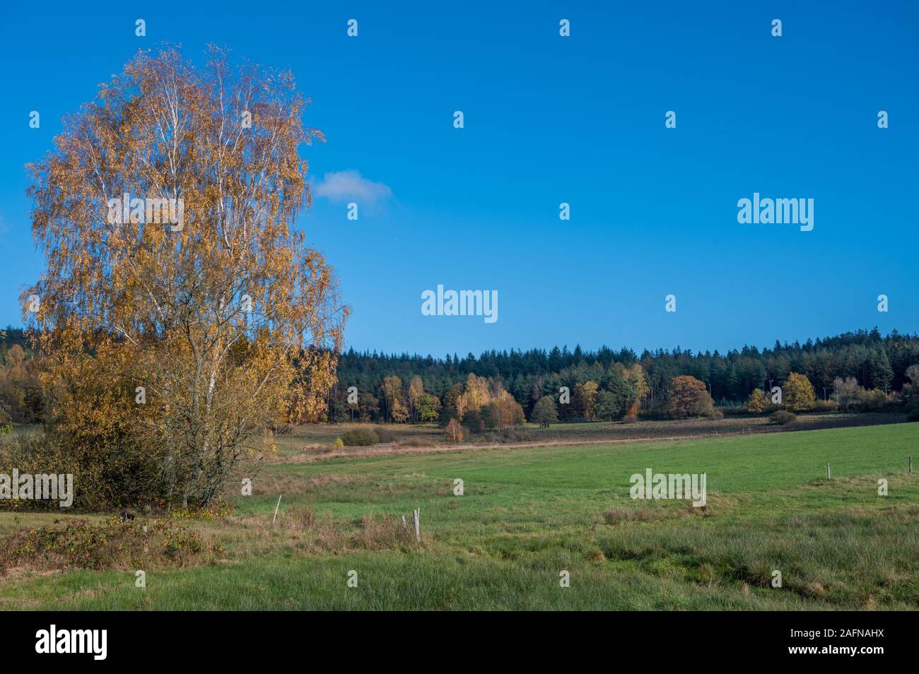 autumn in Grassellenbach Stock Photo