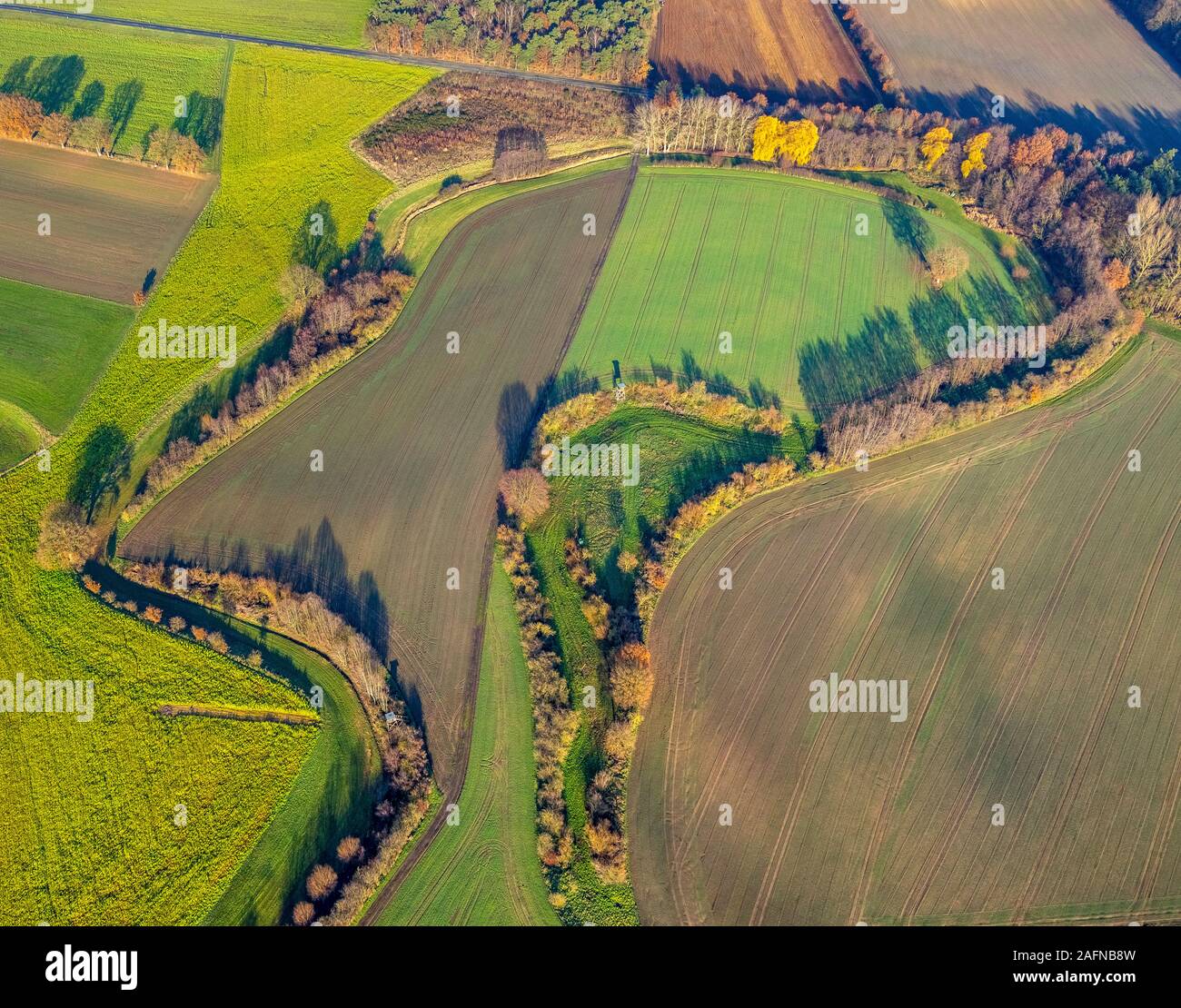 aerial photo, green meadows and fields, head shape, former river arm ...