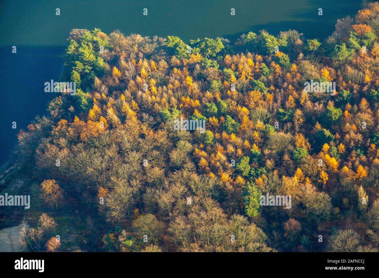 aerial photo, mixed forest at the lake, Haltern am See, Ruhr area, North Rhine-Westphalia, Germany, DE, Europe, aerial photo, aerial photography, aeri Stock Photo