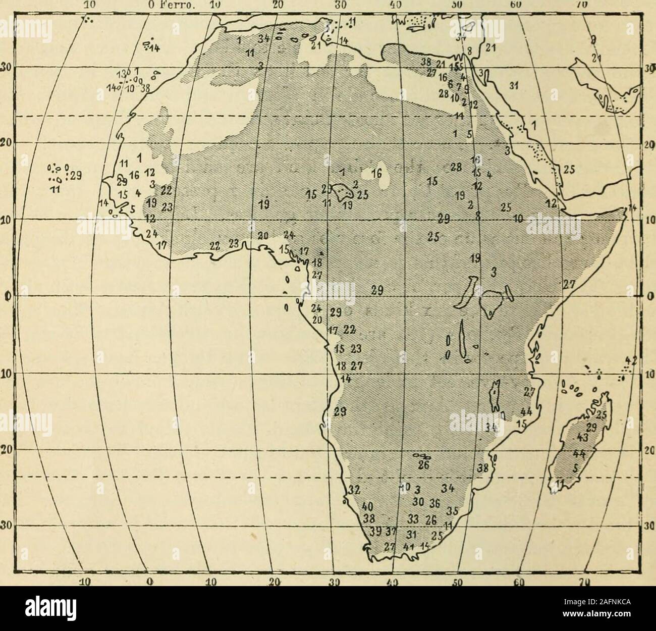 . The world's inhabitants; or, Mankind, animals, and plants; being a popular account of the races and nations of mankind, past and present, and the animals and plants inhabiting the great continents and principal islands. able fly in Tropical Africa, biting cattle so severely as tocause them serious injury and irritation, and often causing their death.Certain districts are rendered practically impassable by their abundance.The Termites, belonging to the same group as the Cockroaches, Locusts,and Earwigs, are well known for their elaborate organisation, the hugedwellings they build, and the des Stock Photo