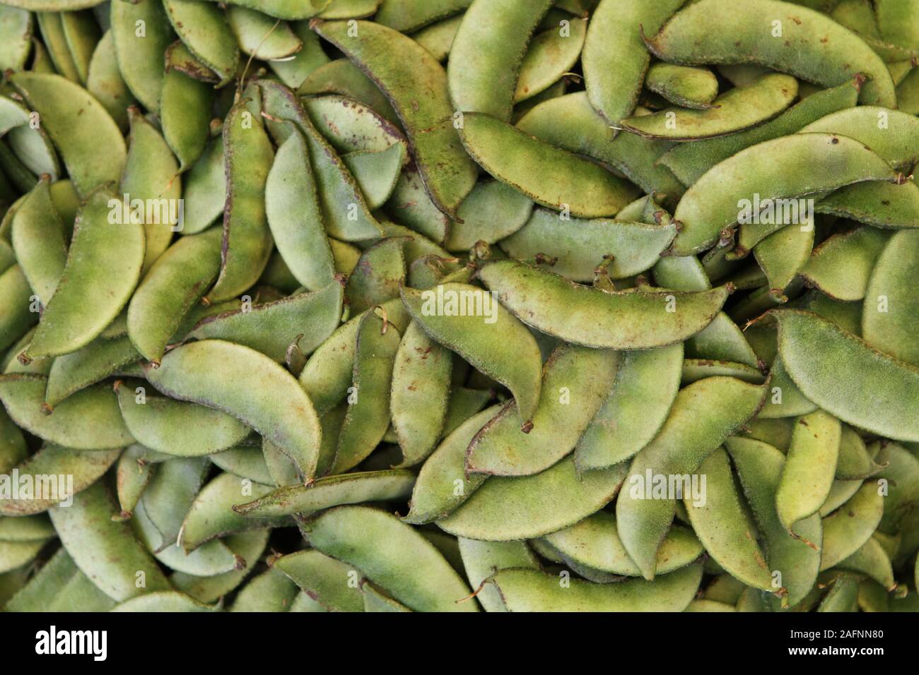 Surati papdi or hyacinth beans - Indian vegetable Stock Photo