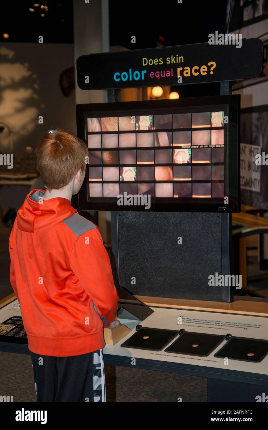 St. Paul, Minnesota.  Science museum of Minnesota.  13 year old boy on an exhibit called; RACE: Are We So Different? It helps visitors understand what Stock Photo