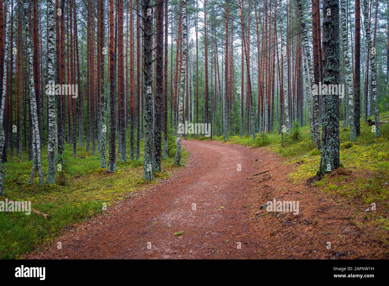Kemeri National Park in Latvia Stock Photo