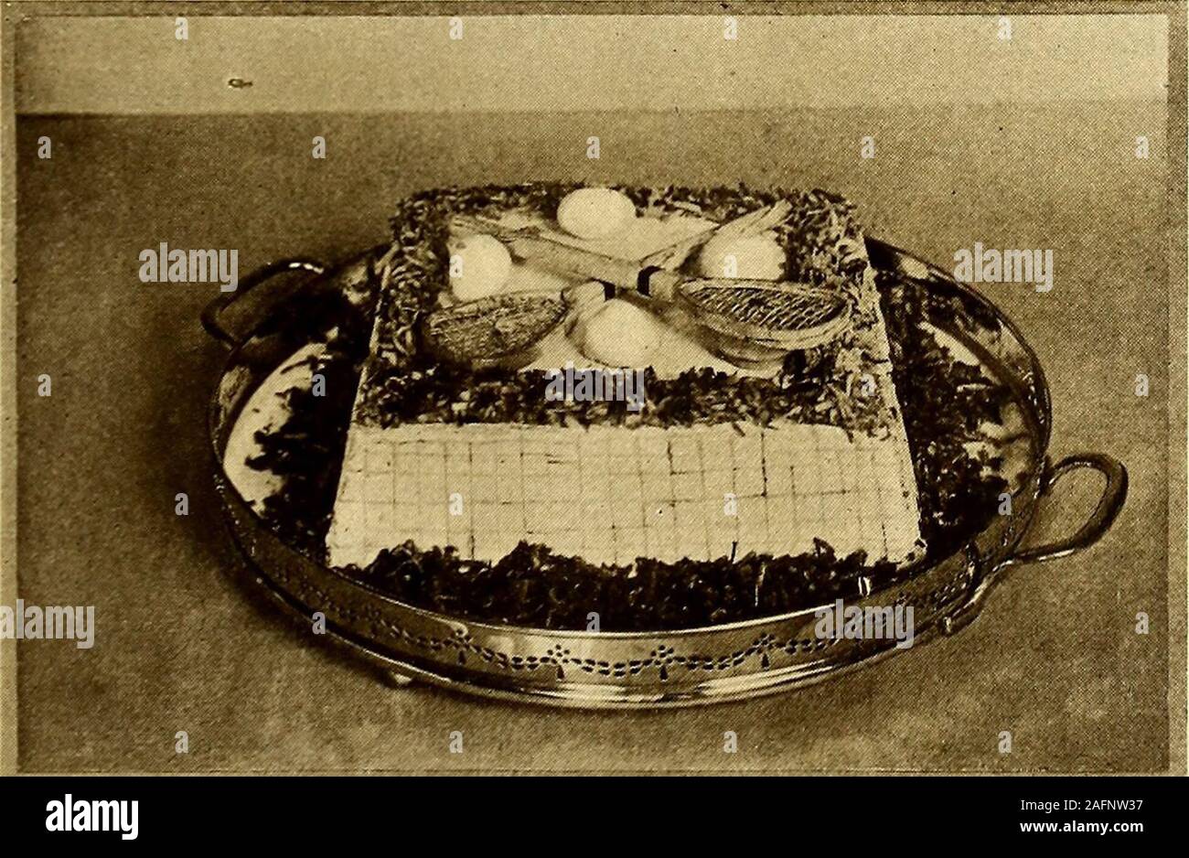 Consider the oyster hi-res stock photography and images - Alamy