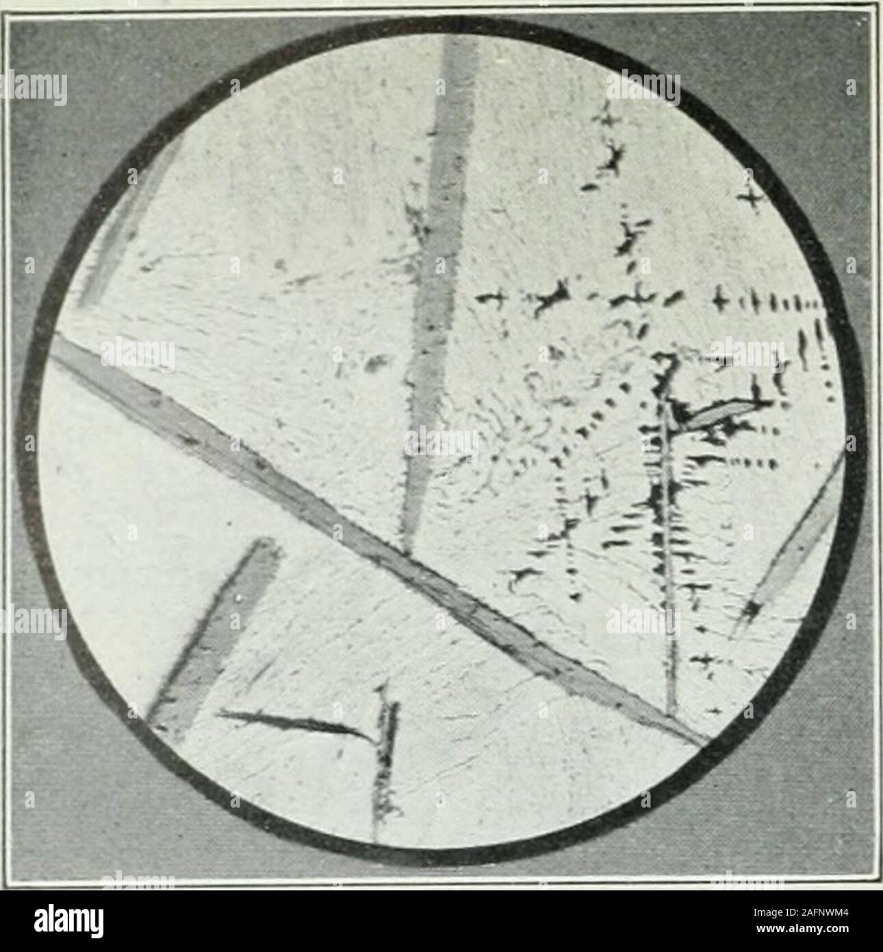 Transactions Fig 6 X 100 Etched With Dilutehno3 Crystallite Fecj Surround Ed By Fe C Passing Into Dendritessurrounded By The Eutectic Likeconstituent Fe C A Fe C Fig 7 X 100 Etched With Hno3 1 4