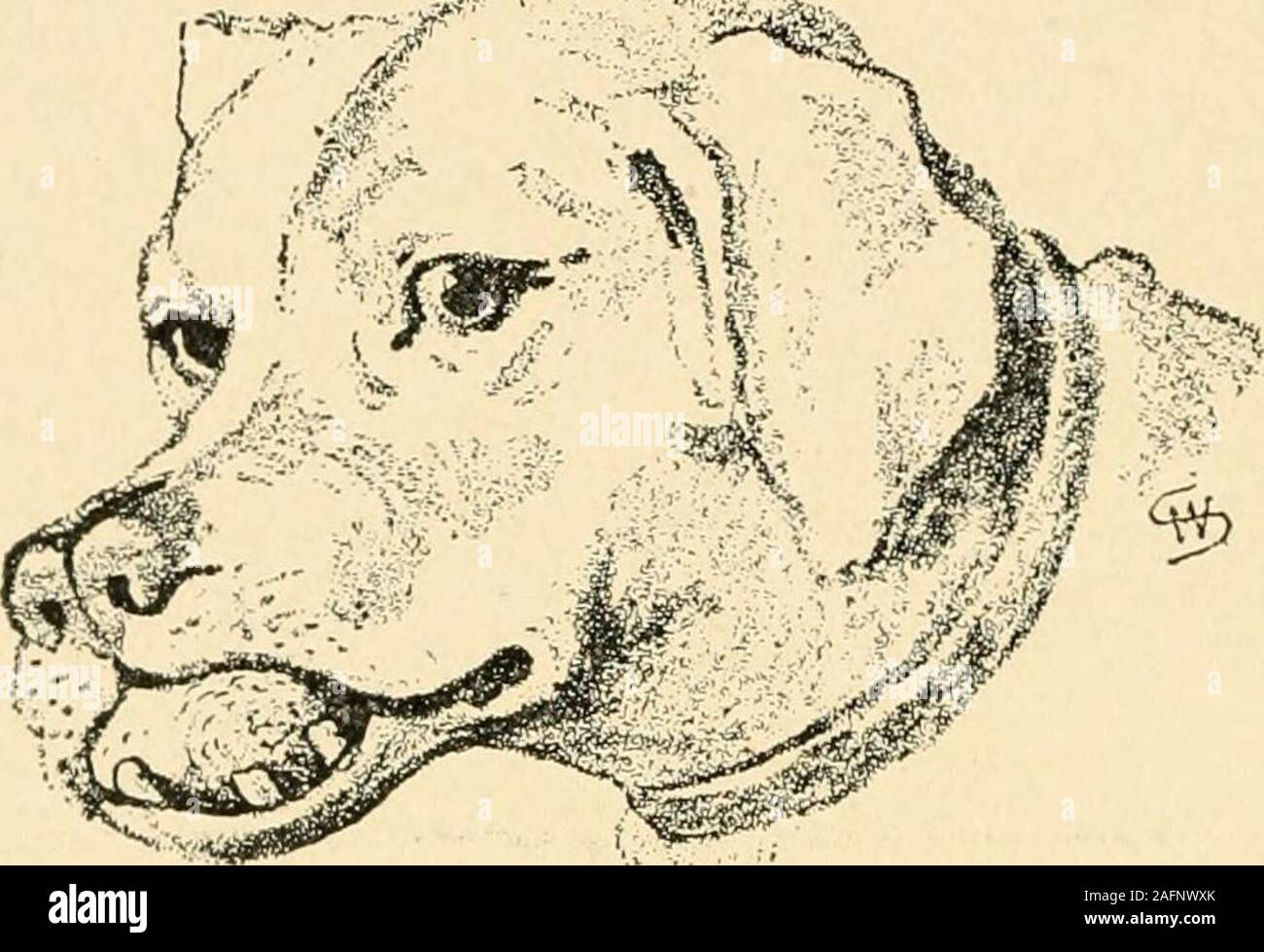 Amalgam cement hires stock photography and images Alamy