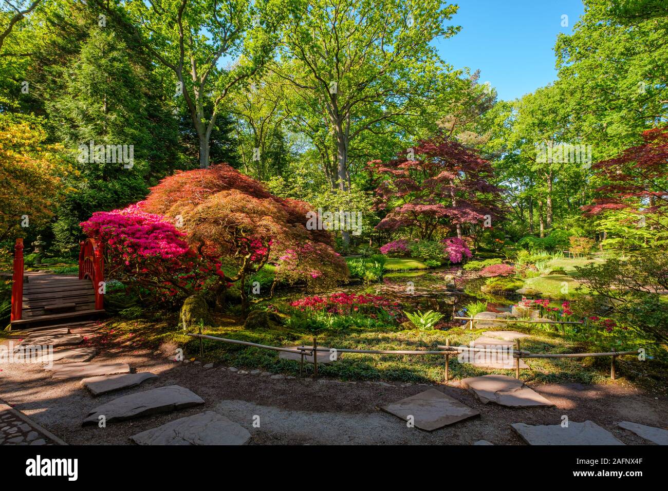 Japanese garden in springtime, complete with wooden red bridge, pagode and several ornaments along a beautiful pond in The Hague, Netherlands Stock Photo