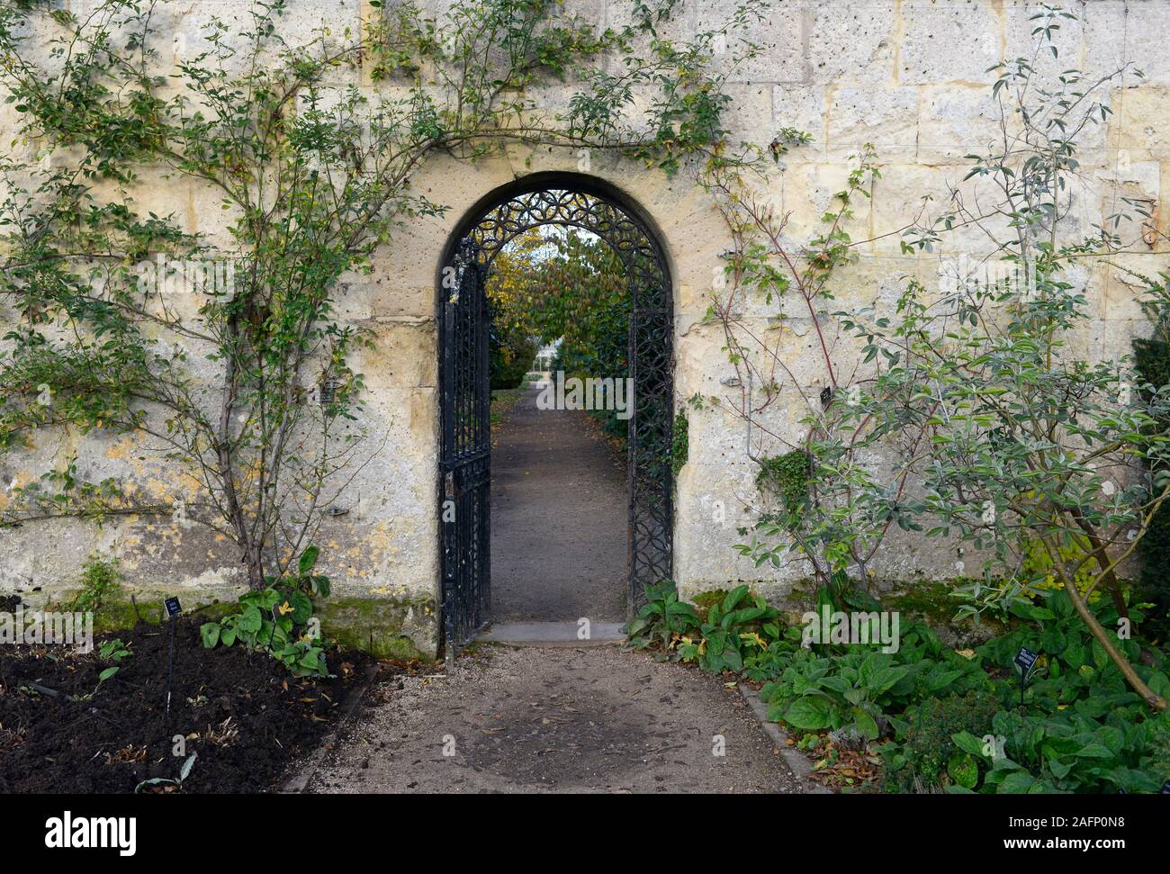 Gate though a wall in the botanical gardens in Oxford, UK Stock Photo