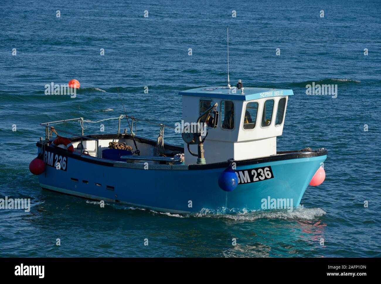 An inshore fishing boat arrives at Paignton harbour to offload its catch. Devon, UK. Stock Photo