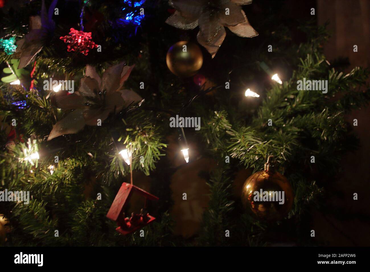 Christmas tree macro photo Stock Photo