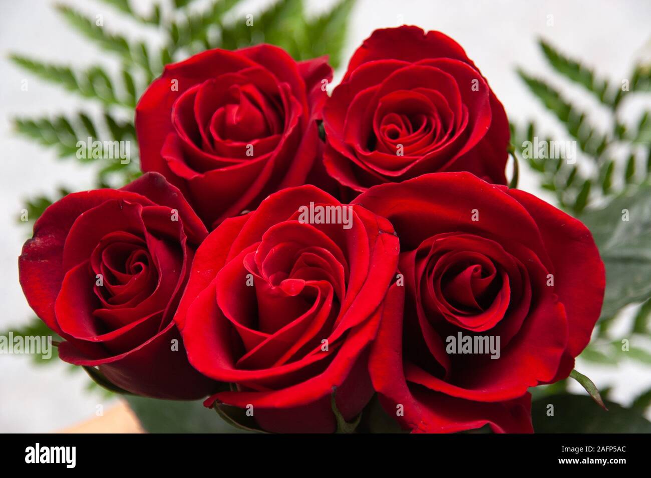 Bouquet of fresh roses, flower bright background Stock Photo - Alamy