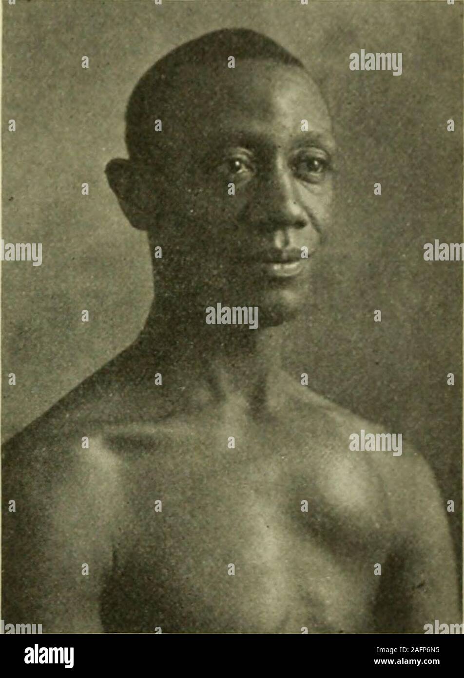 . Internal medicine; a work for the practicing physician on diagnosis and treatment, with a