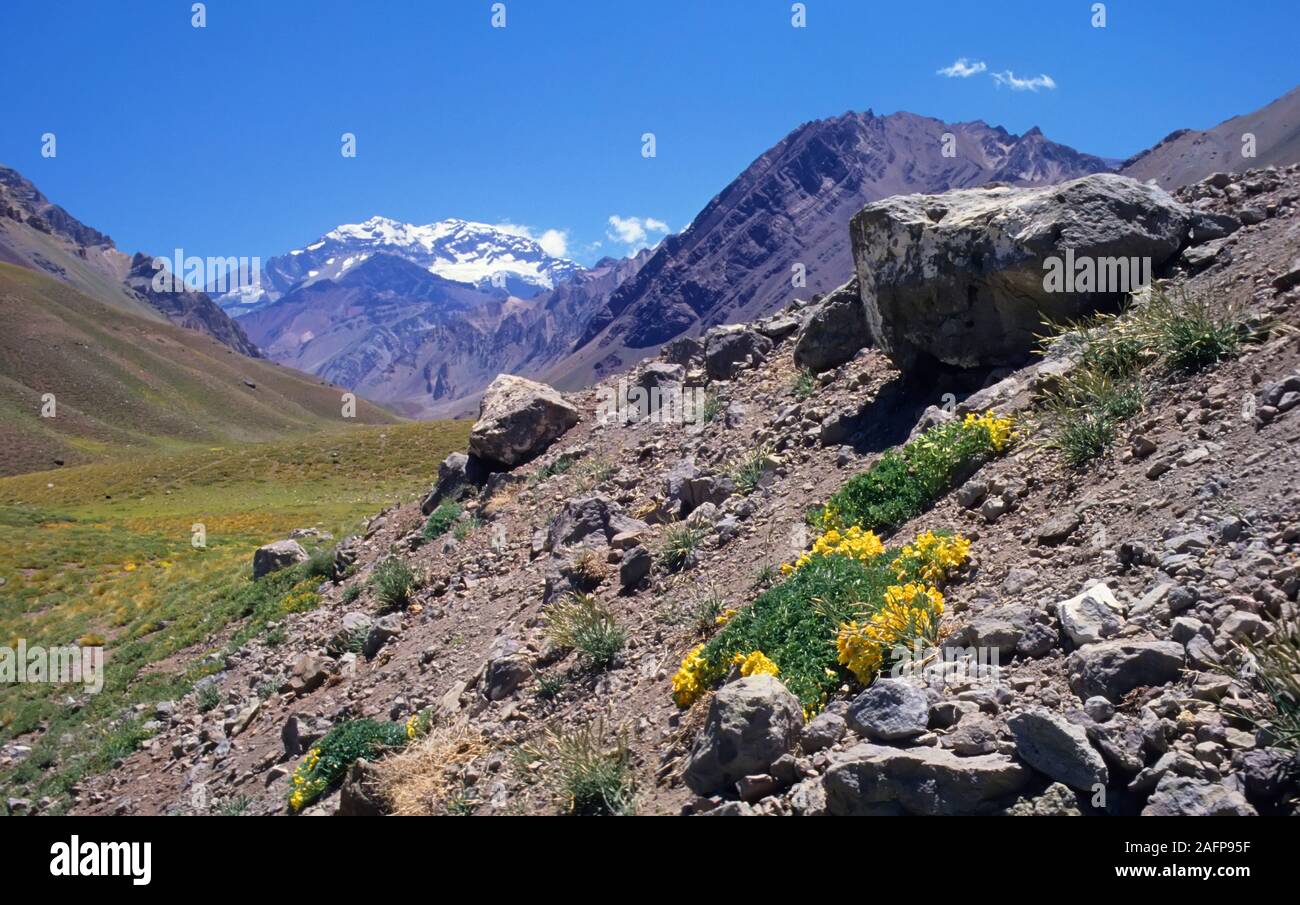 Mt Aconcagua, Andes, Aegentina Stock Photo