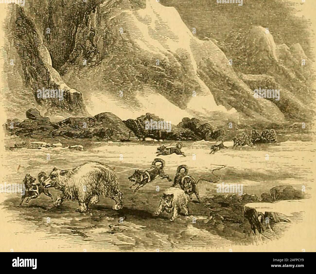 Arctic researches, and life among the Esquimaux;. re of this island isin  lat. r,3° 16 N., long. CT 66 W.t Turn Point is in lat. 03° 19 N., long. C8°  09