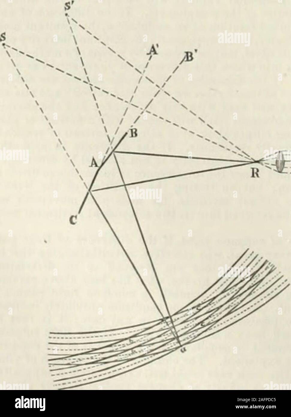 . Johnson's new universal cyclopaedia : a scientific and popular treasury of useful knowledge. energy of theforces .at work at the surfaces of incamlcsceut bodies, it isimpossible to believe that the waves they generate can havetheir origins absolutely invariable in position. Interference is the cause of the colors of thin plates orfilms (as those of soap-bubbles) of Newtons rings (whichsee), of ruled-plate spectra (see Spectkim), and of theiridescence which distinguishes many objects in the mineralanil organic world. In the earlier history of optics, mostor all of these ]&gt;henomena were acc Stock Photo