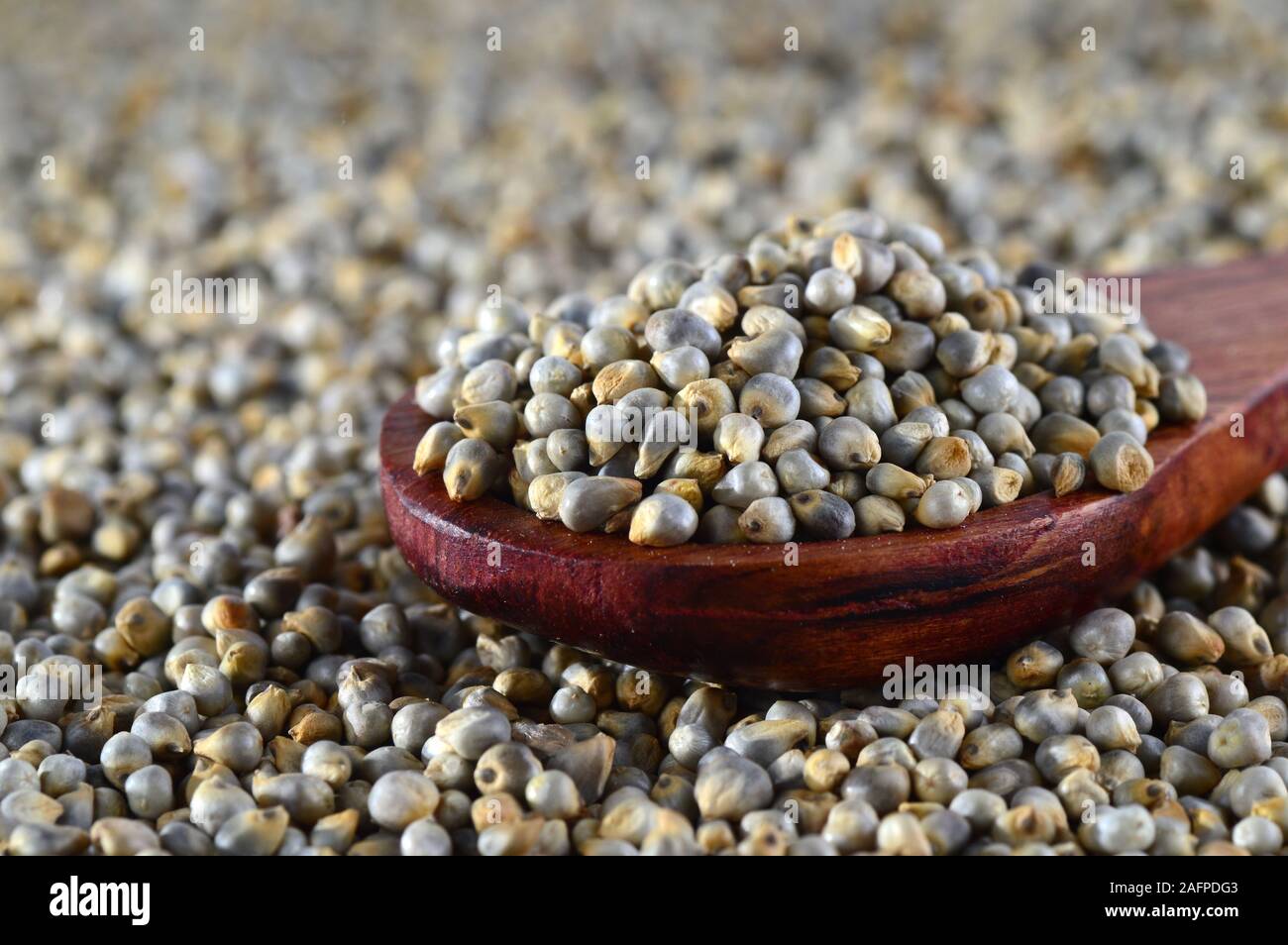 close up of Pearl Millet (Bajra) with wooden spoon Stock Photo - Alamy