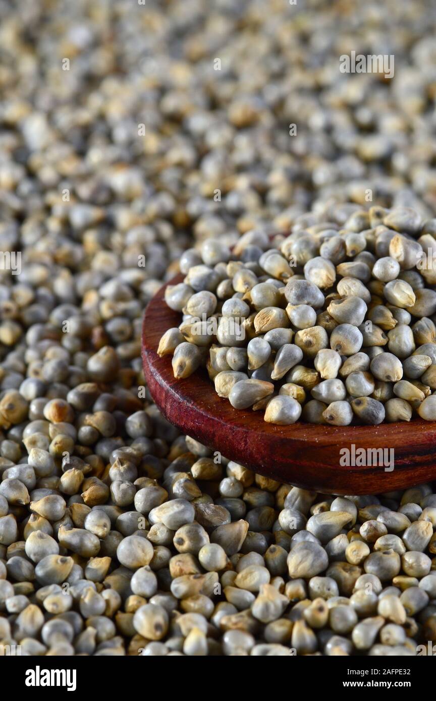close up of Pearl Millet (Bajra) with wooden spoon Stock Photo - Alamy