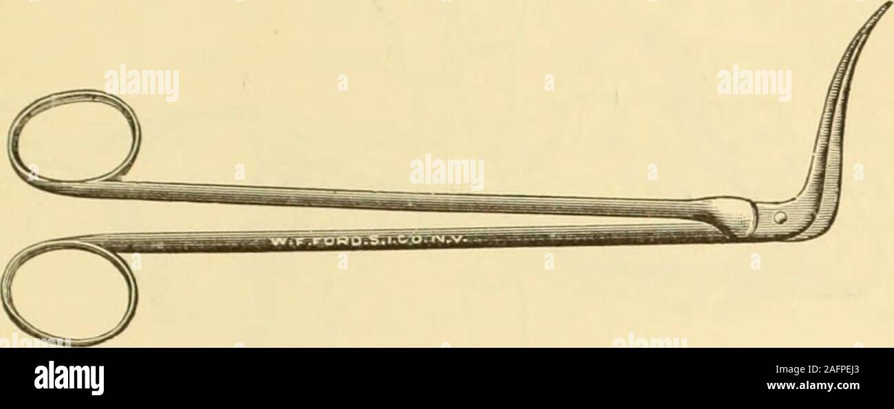 Thoroughly complete hires stock photography and images Alamy