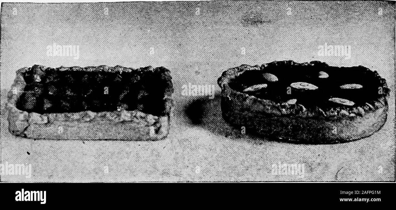 . The Century cook book : with a new supplement of one hundred receipts of especial excellence. TAKT EINGS AND CRITSTS. 1,2. Tart Eings. 3. Croat taked in ring No. 1. i. Crust filled with rice as prepared for baking. (See page 462.). TART PIES. 1. Pie filled with quarters of apples arranged in rows. 2. Pie filled with apricots cut in halves—a blanched almond in the center of each piece. (See page 462.) PIES AND PUFF-PASTE 463 thickened and clear; then pour it around the fruit, and letcool. It wiU not need to be put in the oven. When plums or cherries are used, remove the pits carefully,and pla Stock Photo