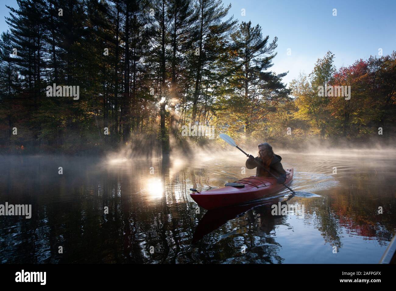Solo paddling on a misty pond at sunrise. Stock Photo