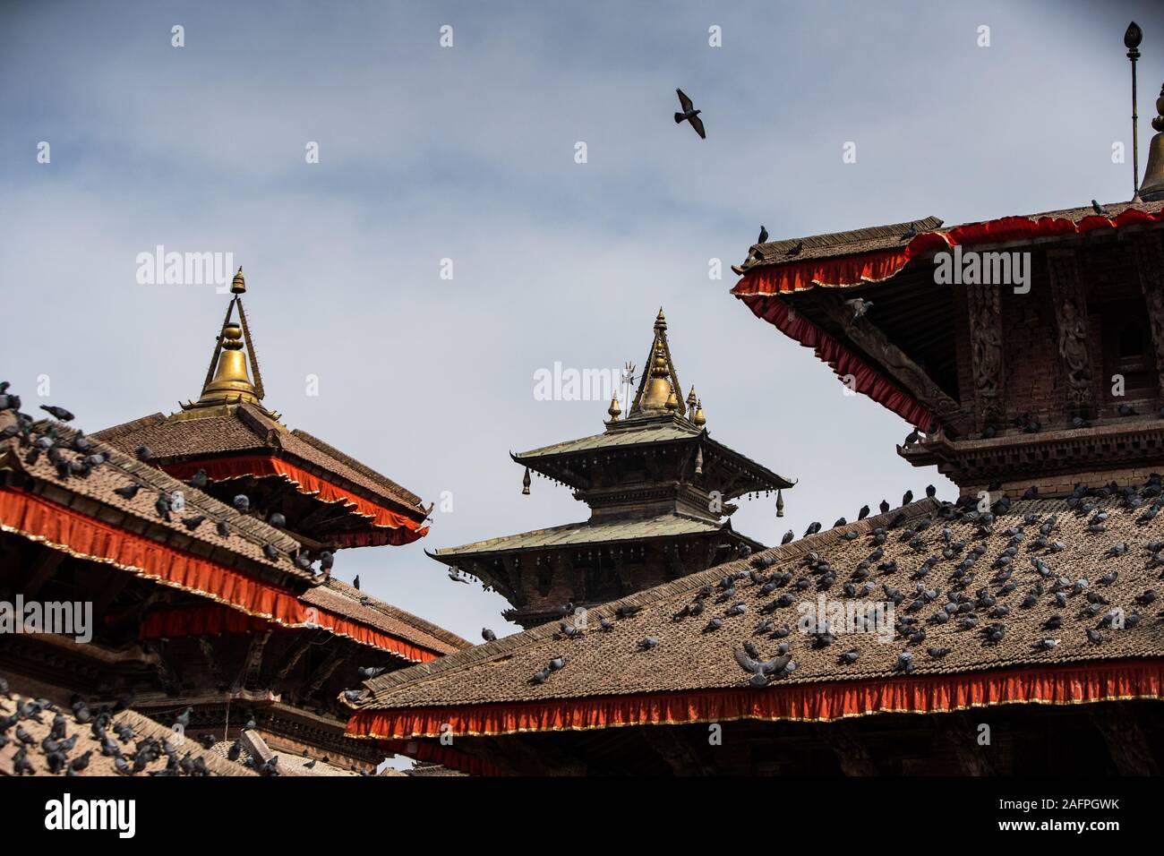 Pigeons surround the temples in Durbar Square Nepal Stock Photo