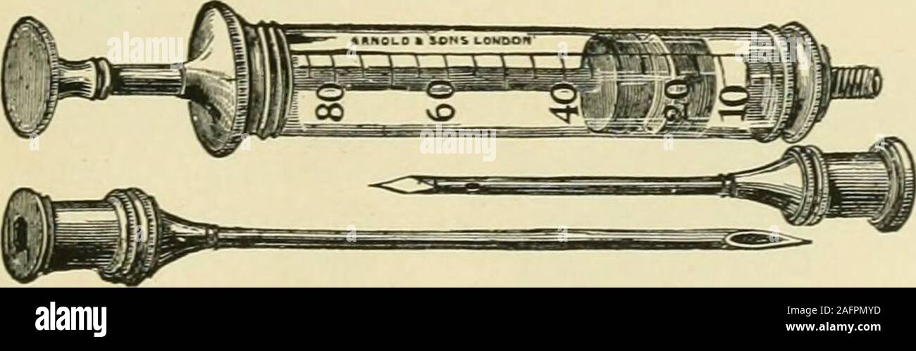 . The standard horse book, comprising the taming, controlling and education of unbroken and vicious horses. Fig. 744.—The Aspirator.*. Fig. 743.—Hypodermic Syringe that Would Answer. slight lameness, the tendon is implicated. When placed in front ofthe suspensory ligament, between it and the bone, it is accom-panied with increase of synovia in the joint itself Wind-galls generally appear suddenly. Treatment.—There are three methods of treatment: First,during the acute stage they can be easily removed by any firm buteven pressure by pads and bandages, with cold water frequently ap-plied. * This Stock Photo