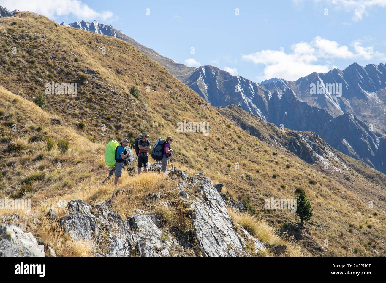 Large group people hiking new zealand hires stock photography and