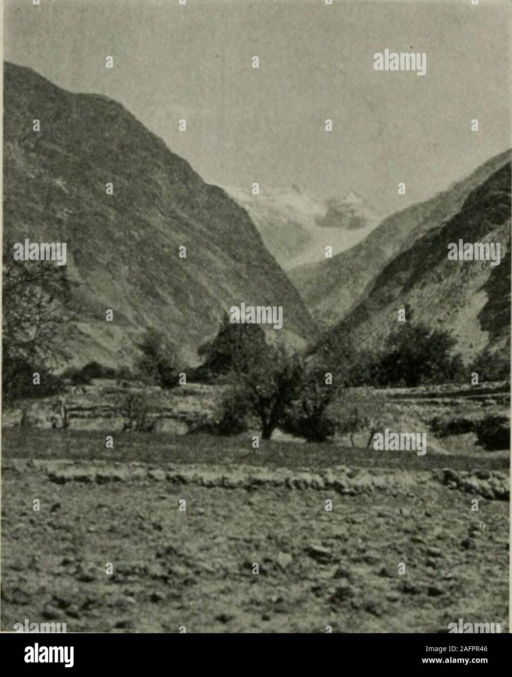 . Karakoram and western Himalaya 1909, an account of the expedition of H. R. H. Prince Luigi Amadeo of Savoy, duke of the Abruzzi. )tcr IX. east, wliicli separates it from the Braldoh valley and contains MangoGusor (20,633 feet) and Koser Gunge (21,000 feet)^. The valleys of thisrange are, however, so deep and so long that only the peak of KoserGunge is visible from Shigar, standing at the north end of the chain andcovered with great glaciers. Farther north the Shigar valley appearsto be closed by a group of snowy mountains, the Ganchen, 21,204 feet. THE SKORO LUMBA, ON THE LEFT OF THE SIIICAR Stock Photo