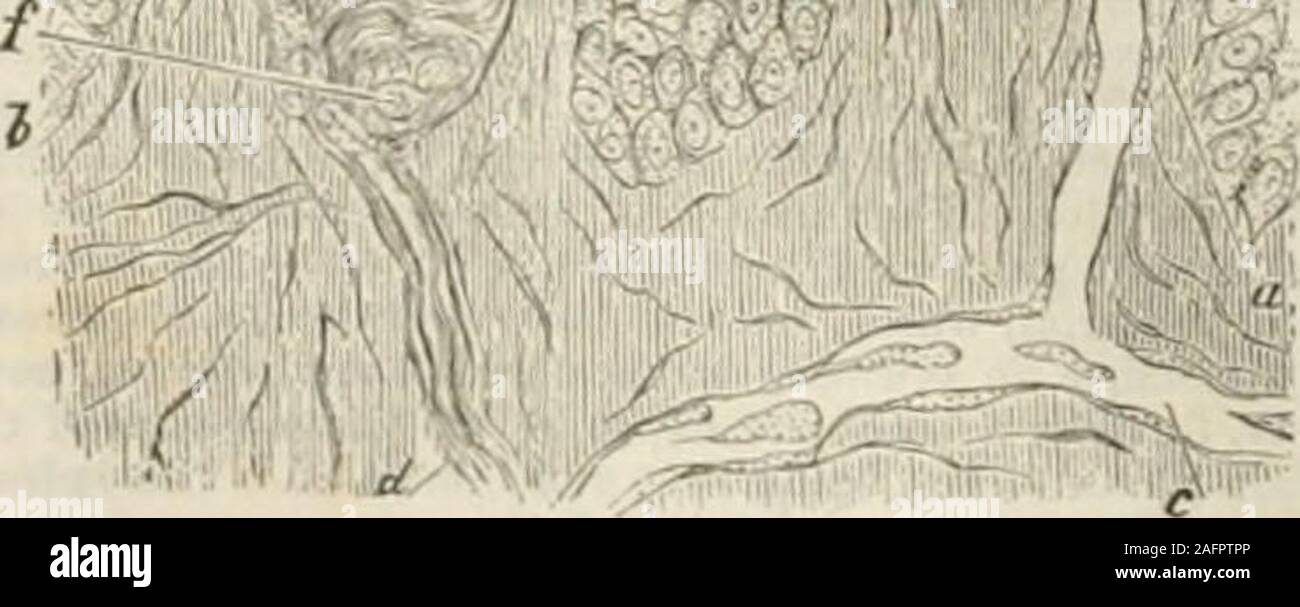 Tactile bodies hires stock photography and images Alamy