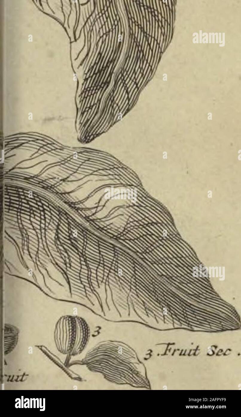 Yert High Resolution Stock Photography And Images Alamy