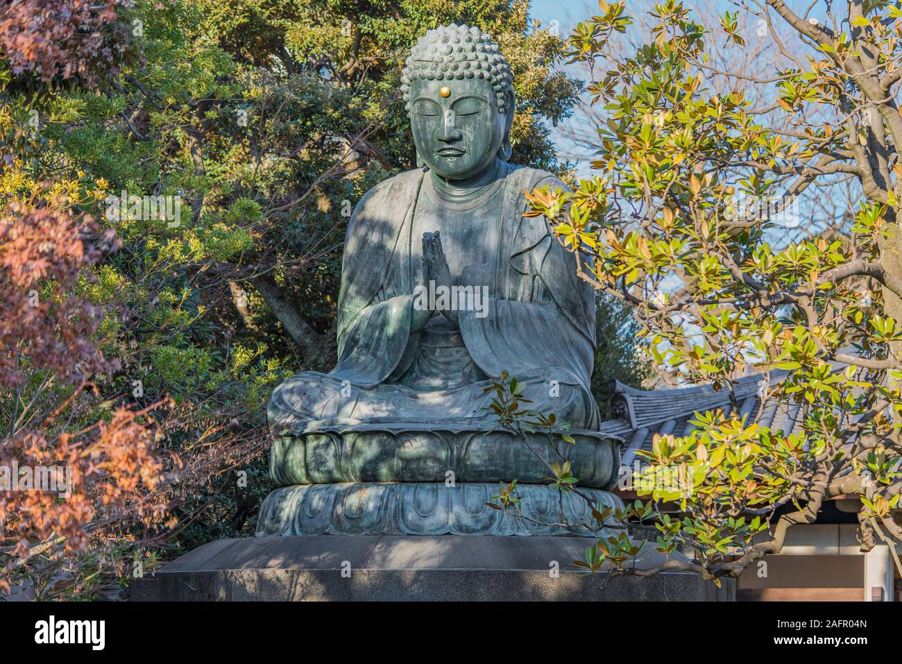 Giant bronze statue depicting the Buddha Shaka Nyorai in the Tendai Buddhism Tennoji temple in the Yanaka cemetery of Tokyo. Stock Photo