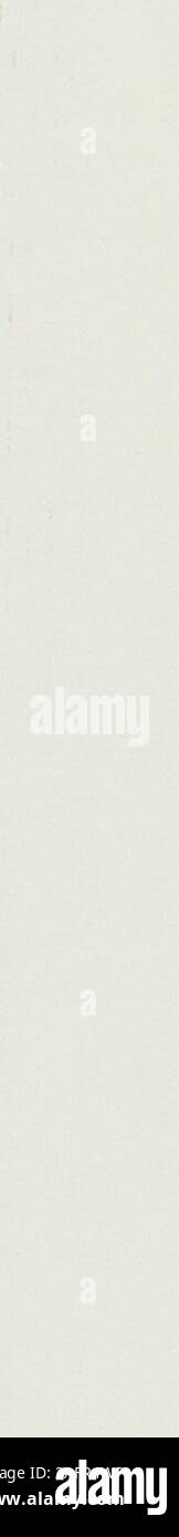 D G High Resolution Stock Photography And Images Page Alamy