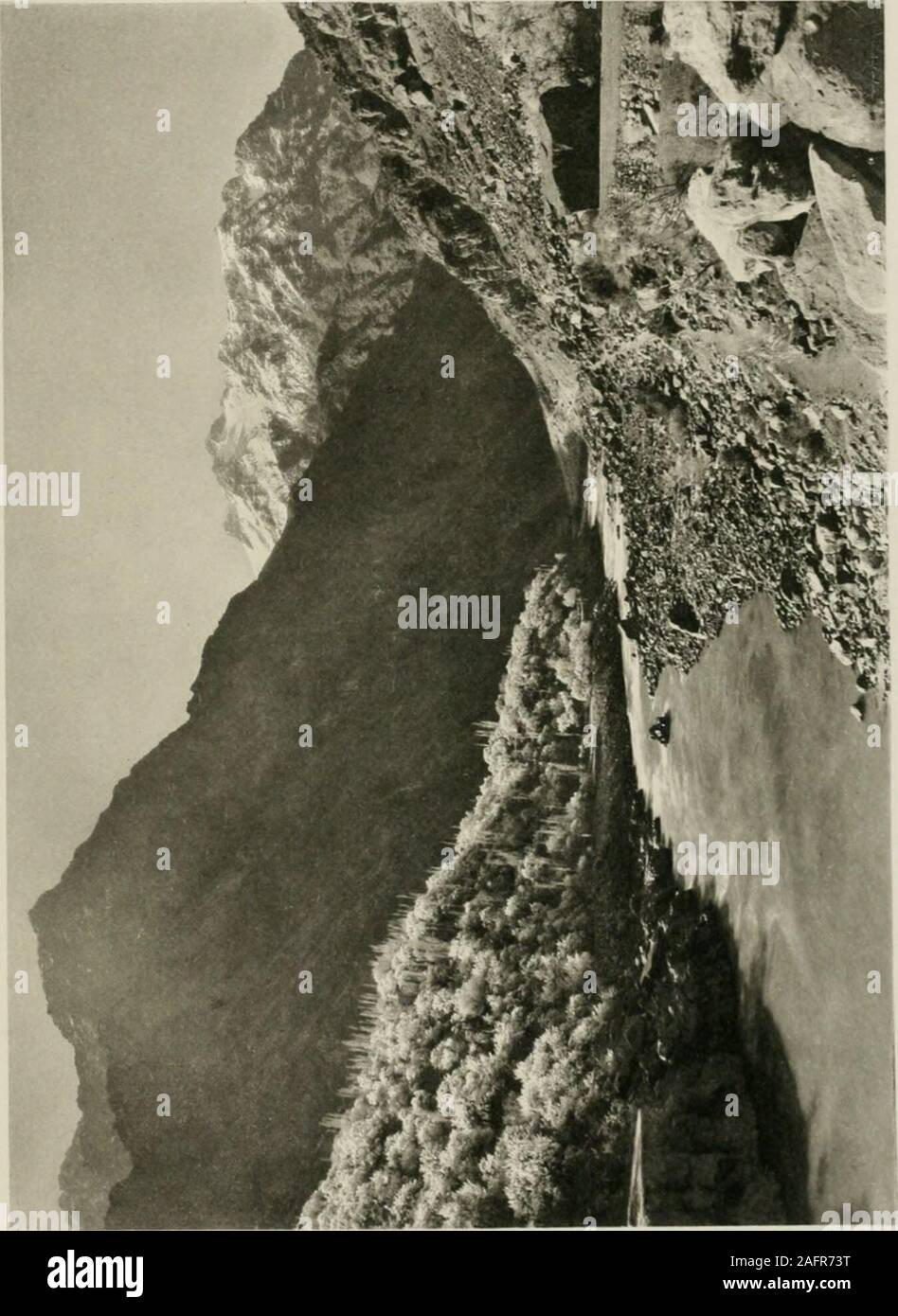 . Karakoram and western Himalaya 1909, an account of the expedition of H. R. H. Prince Luigi Amadeo of Savoy, duke of the Abruzzi. ing to bud. and a few isolated juniper bushes—Juniperus excelsa—the only woody growth of all these desolate shores except where thereis artificial cultivation. It assumes such a twisted, stunted andcontorted aspect as scarcely to deserve the name of tree, even whenit has a thick tiuiik of many years standing and numerous branches. The valley runs eastward at first for 7 or 8 miles, and then turnsnorth-eastward. Some 14 miles from Dras the path leaves the leftside o Stock Photo