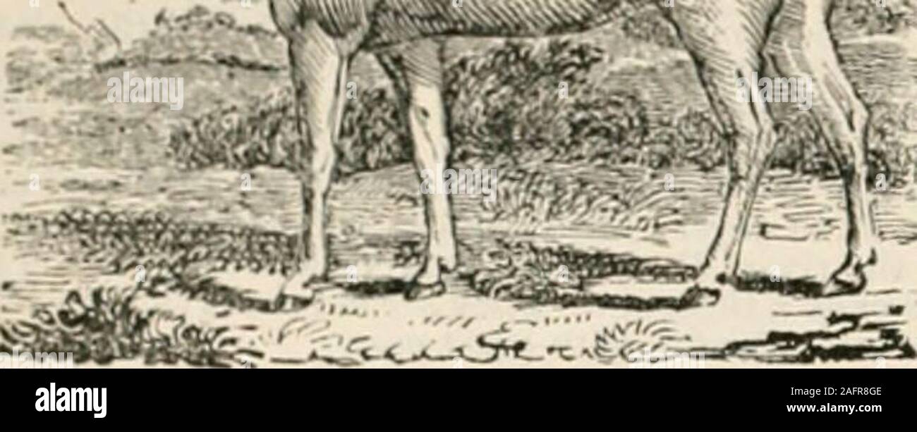 6232 Stock Photos 6232 Stock Images Alamy