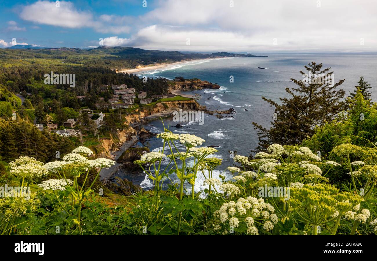 MAY 29, 2019 - OREGON, COASTLINE, USA - Cape Foulweather, Oregon Coastline along Route 101 Stock Photo