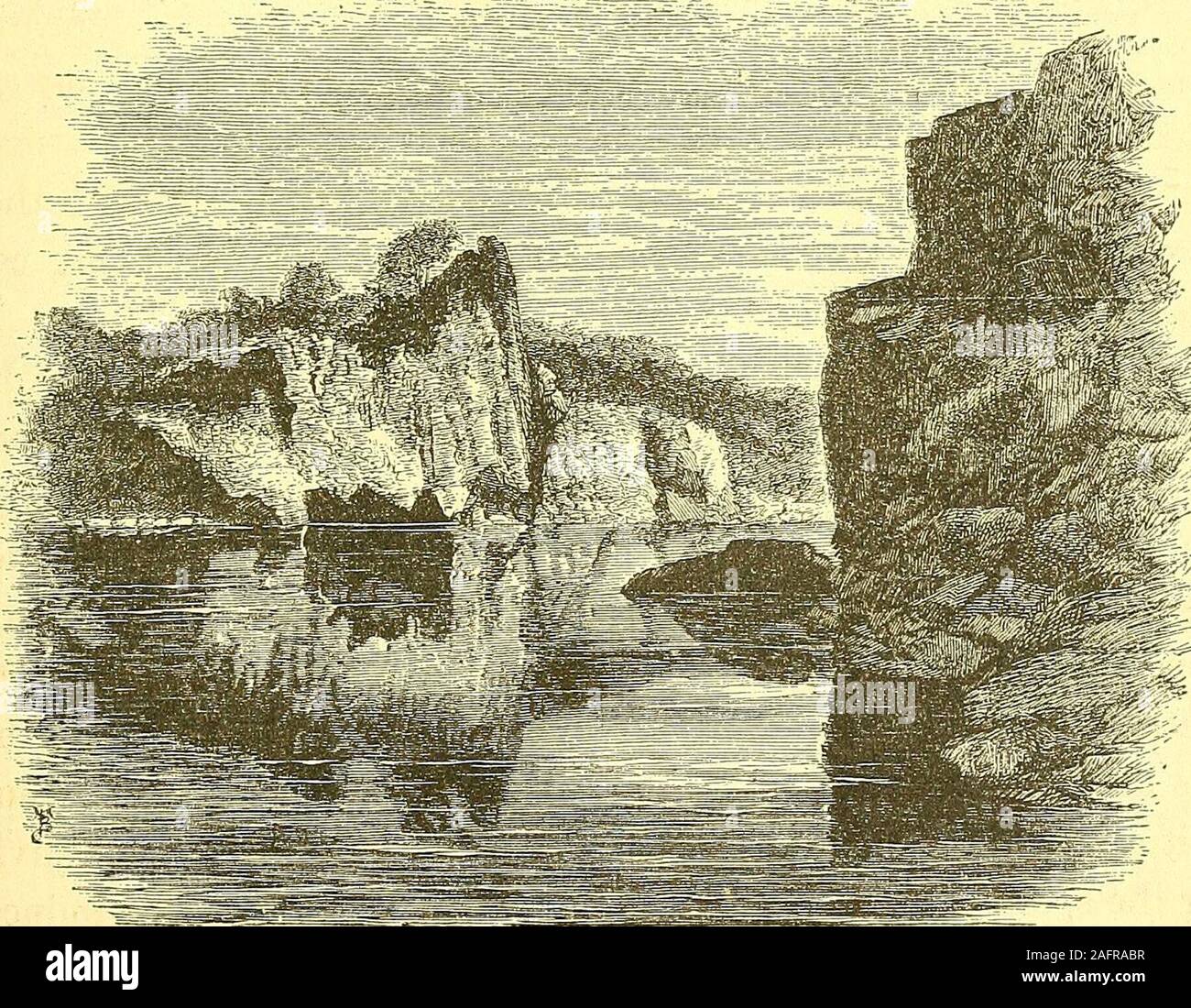 With Lion Stock Photos With Lion Stock Images Page 42