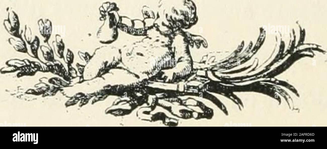 Mystère Stock Photos Mystère Stock Images Page 2 Alamy