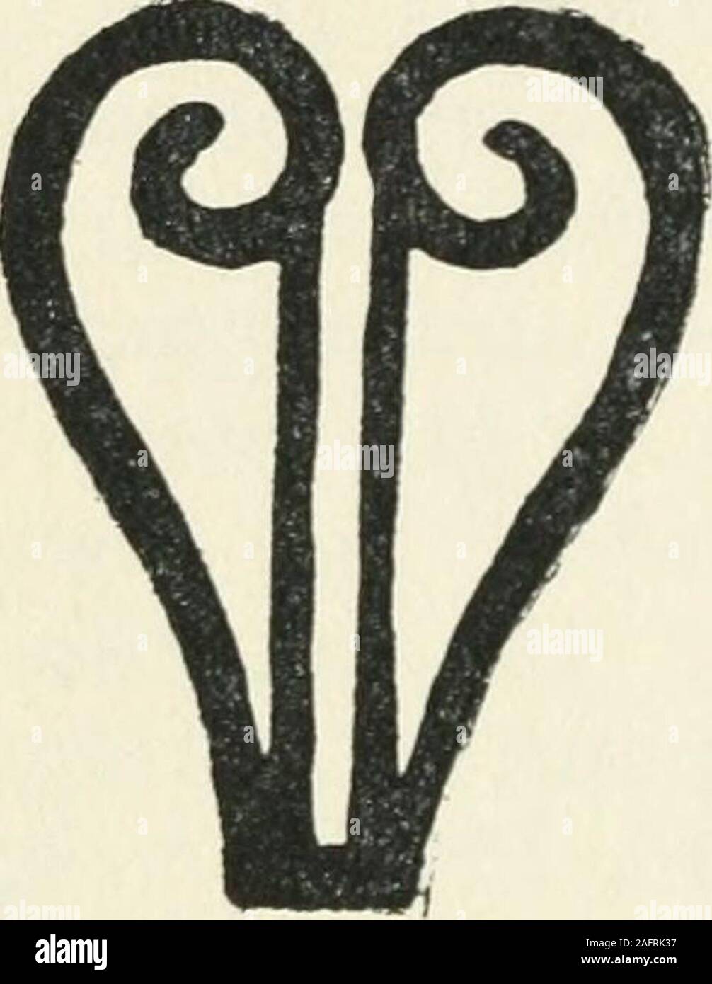 . The pagan tribes of Borneo; a description of their physical, moral and intellectual condition, with some discussion of their ethnic relations. ous modification ofthis eye is seen in another Sea Dayak scorpion designfigured by E. B. Haddon [4, Fig. 19]. Furness [3, p. 142]figures a couple of scorpion designs, but neither are quiteas debased as that which we figure here. Furness alsofigures a scroll design, not unlike a Bakatan design, tatuedon the forearm, and termed taia gasieng^ the thread of thespinning wheel; a similar one figured by Ling Roth [7, 1 Mr. E. B. Haddon (4, p. 124) writes : * Stock Photo