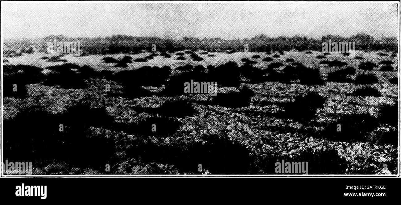 White alkali soil Black and White Stock Photos & Images Alamy