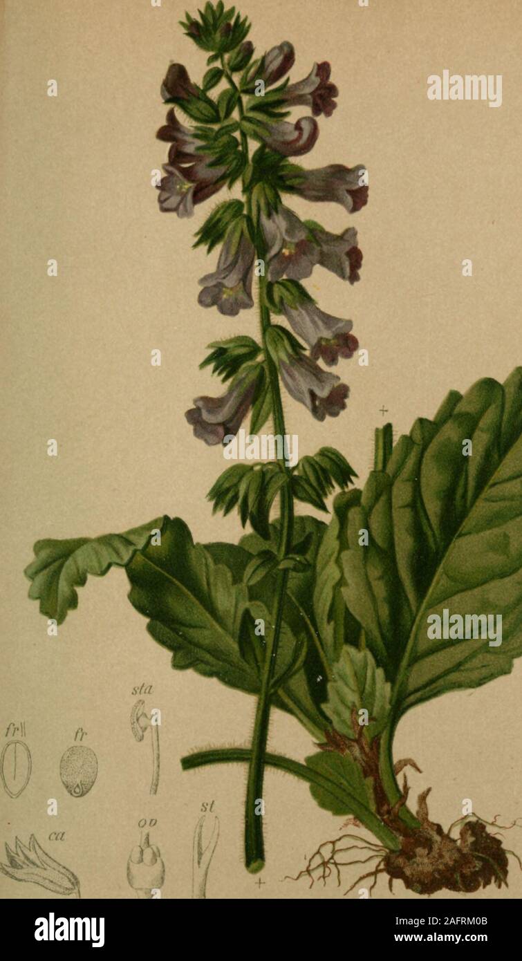 Krain hires stock photography and images Alamy