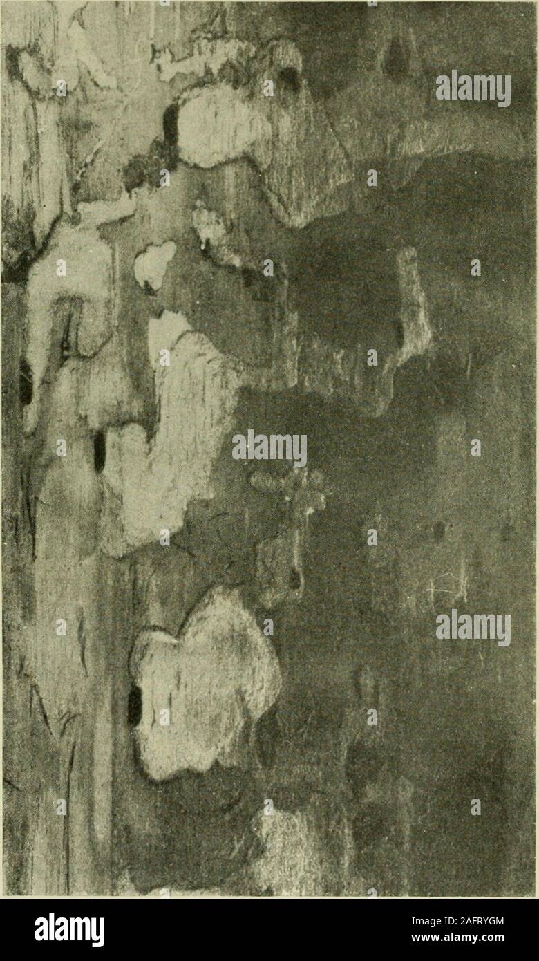 Page 2 - Tunn High Resolution Stock Photography and Images - Alamy