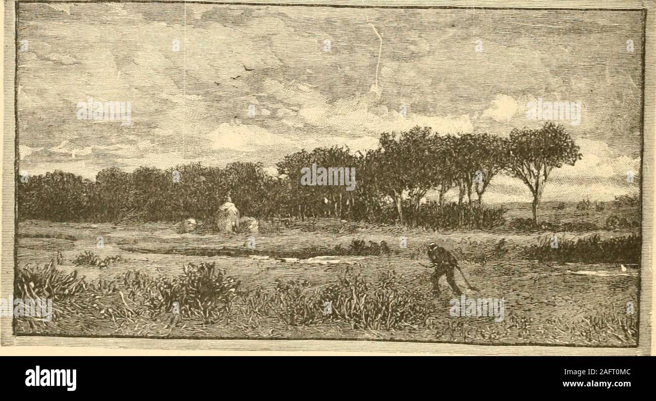 . A family flight around home. n? she asked.I long to hear it, Bessie, he replied. She glanced at Miss Lejeune as if to summon her aid, andthat lady leaned a little forward, the better to join the discussion.Aunt Dut and I, papa, think we had all better go over atonce, to be with the rest of them. I long to see Mary, shewent on. while tears came in her eyes, and there is no needfor mamma to come home. And then, do not you see, we can takeHubert along with us, as far as we go? Her father looked at her for a moment with no expression onhis face but a half-smile, then he said, 362 A FAMILY FLIGHT Stock Photo
